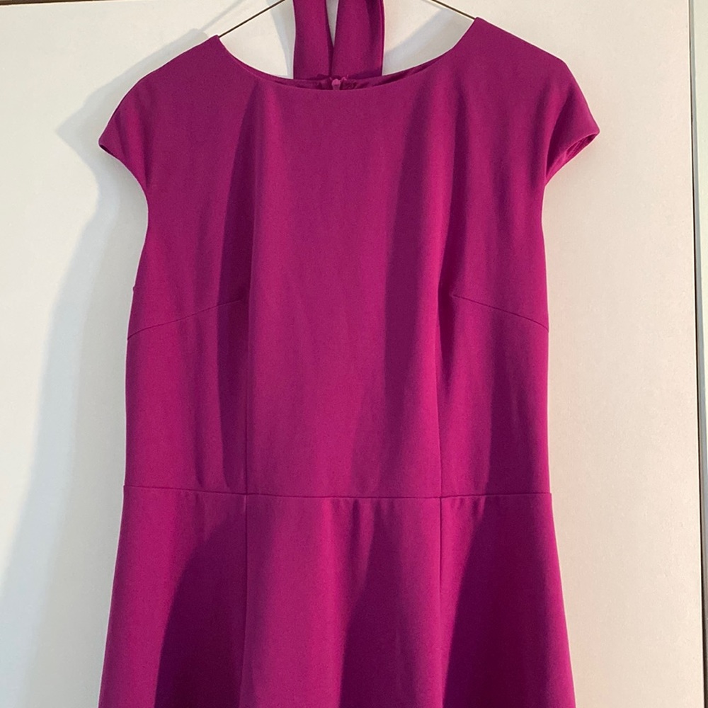 Dress Tells Fuchsia Dress